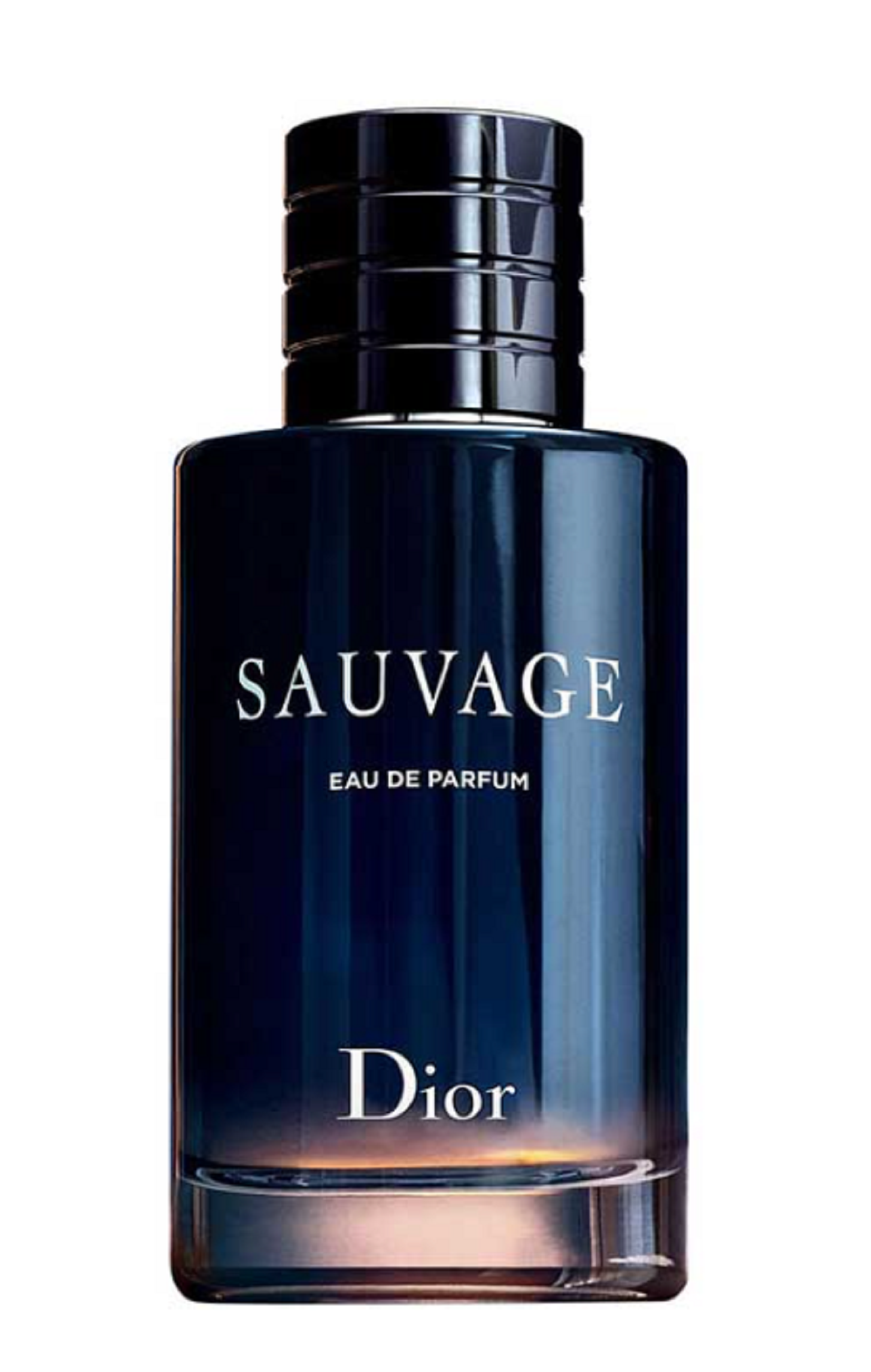 Christian Dior Sauvage Le Nouveau 100ml. Мъжки Парфюм